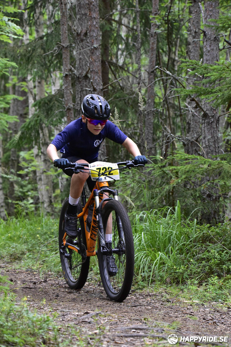 Bild från Engelbrektsturen 2019